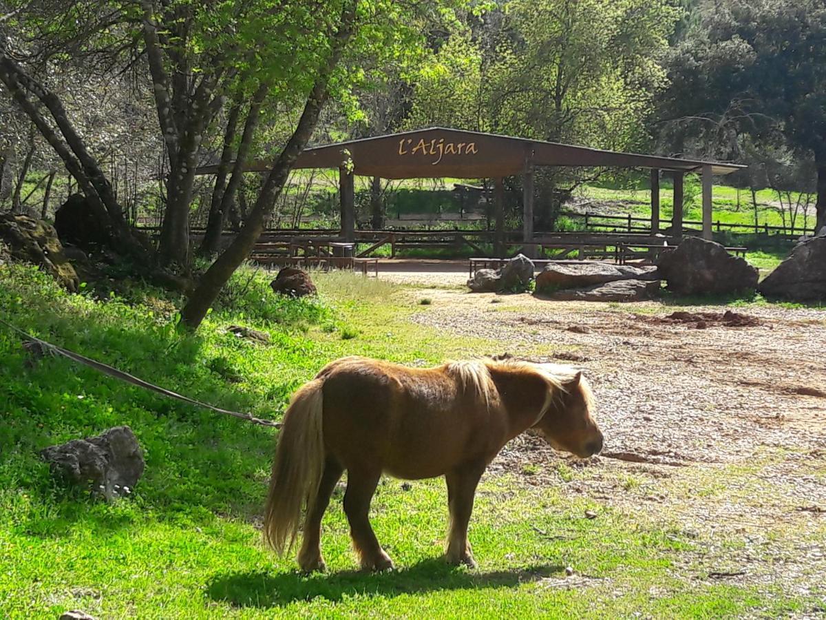 Cabanas Del Bosque Cerca De Кордова Экстерьер фото